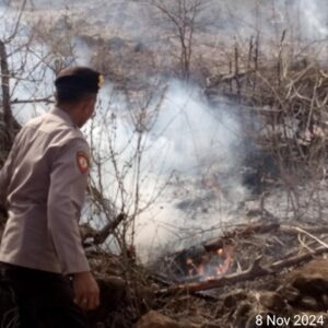 Kesigapan Personel Polsek Wera Polres Bima Kota dan Warga Tangani Kebakaran Hutan di So Karano