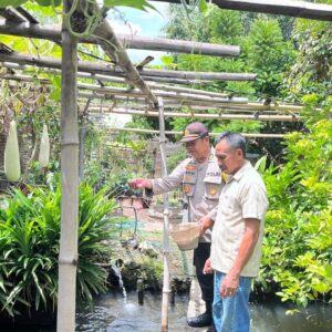 Dukung Program Ketahanan Pangan, Kasat Binmas Polres Bima Kota Sambangi Usaha Budidaya Ikan di Kelurahan Nungga