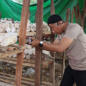 Ketahanan Pangan Nasional, Polsek Monta Polres Bima Inisiasi Dengan Budidaya Jamur Tiram