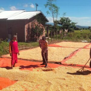 Polri Untuk Masyarakat,dan Sukseskan Swasembada Pangan Bhabinkamtibmas Polsek Woha Bantu Jemur Jagung Warga Binaan