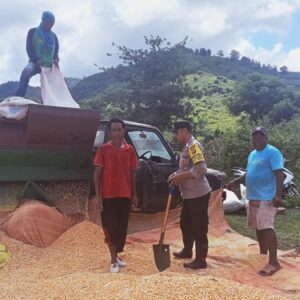 Bhabinkamtibmas Polsek Monta Bantu Penggilingan Jagung Milik Warga Binaan dalam Program Ketahanan Pangan Nasional