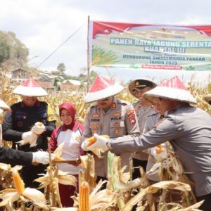 Polres Bima Kota Gelar Panen Raya Jagung Serentak Kuartal III di Desa Pesa, Wawo