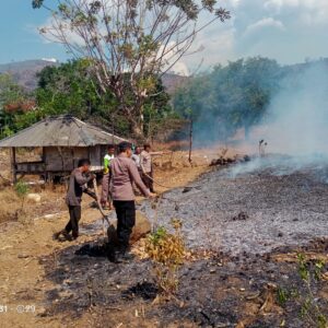 Respon Cepat Polsek Asakota, Personel Datangi Lokasi Kebakaran Lahan Jagung di Kelurahan Kolo
